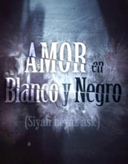 Amor en blanco y negro temporada 1 capitulo 19