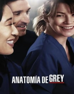 Anatomía de Grey temporada 10 capitulo 11