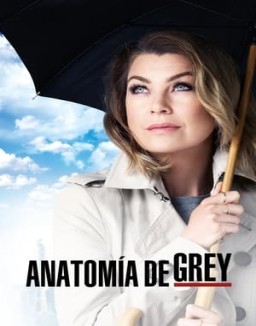 Anatomía de Grey temporada 12 capitulo 12