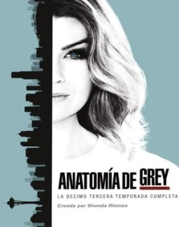 Anatomía de Grey temporada 13 capitulo 22