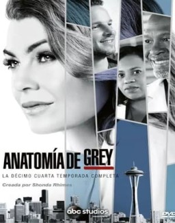 Anatomía de Grey temporada 14 capitulo 7