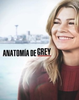 Anatomía de Grey temporada 15 capitulo 8