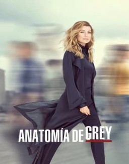 Anatomía de Grey temporada 16 capitulo 5