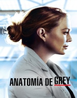 Anatomía de Grey temporada 17 capitulo 16