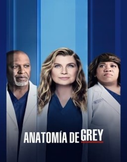 Anatomía de Grey temporada 18 capitulo 11