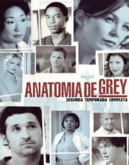 Anatomía de Grey temporada 2 capitulo 3