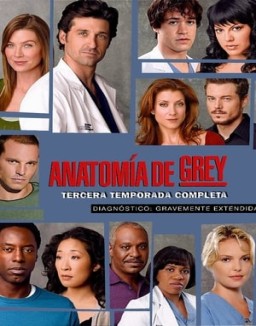 Anatomía de Grey temporada 3 capitulo 8