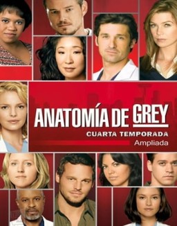 Anatomía de Grey temporada 4 capitulo 5