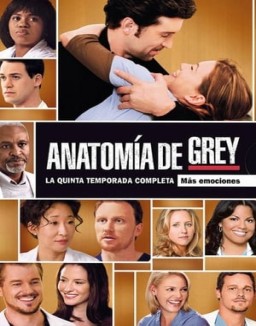 Anatomía de Grey temporada 5 capitulo 24