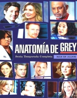 Anatomía de Grey temporada 6 capitulo 19