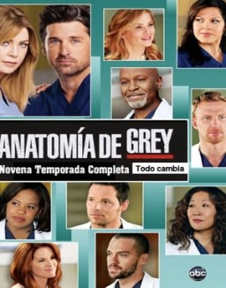 Anatomía de Grey temporada 9 capitulo 16