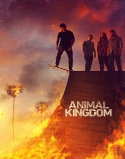 Animal Kingdom temporada 1 capitulo 5