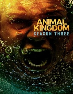 Animal Kingdom temporada 3 capitulo 8