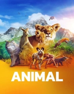 Animal temporada 1 capitulo 1