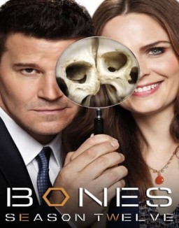 Bones saison 12