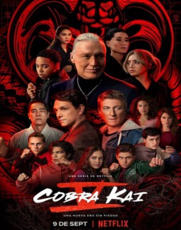 Cobra Kai temporada 1 capitulo 3