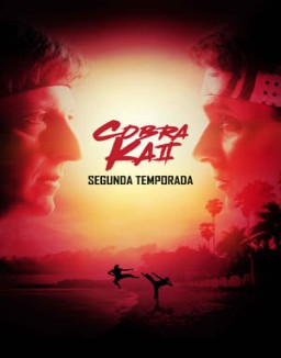 Cobra Kai temporada 2 capitulo 8