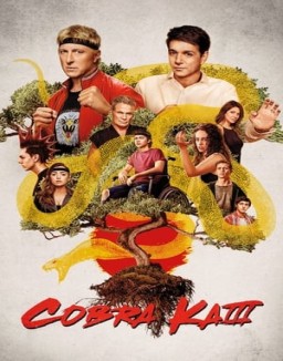 Cobra Kai temporada 3 capitulo 8