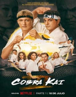 Cobra Kai temporada 6 capitulo 6