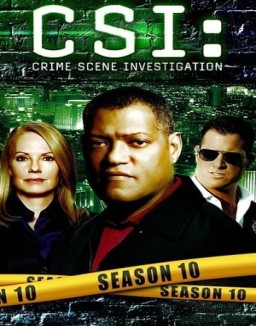 CSI: Las Vegas temporada 10 capitulo 8