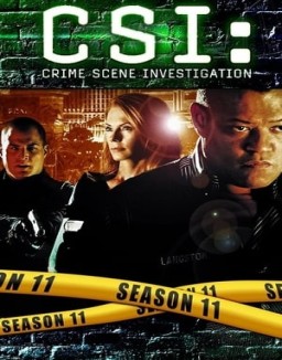 CSI: Las Vegas temporada 11 capitulo 13