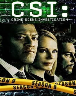 CSI: Las Vegas temporada 9 capitulo 12