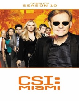 CSI: Miami saison 10