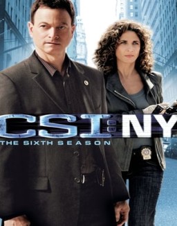 CSI: Nueva York temporada 6 capitulo 21