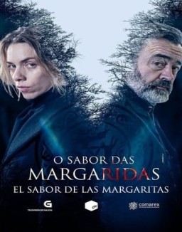 El sabor de las margaritas temporada 1 capitulo 6