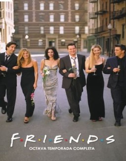 Friends Temporada 8