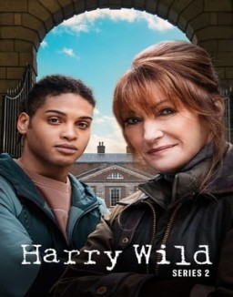 Harry Wild saison 2