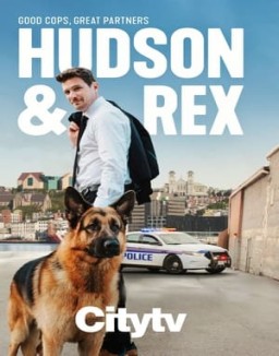 Hudson & Rex temporada 4 capitulo 14