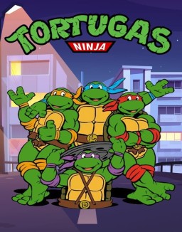 Las Tortugas Ninja (1987) temporada 1 capitulo 170