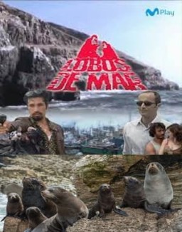 Lobos de mar temporada 1 capitulo 4