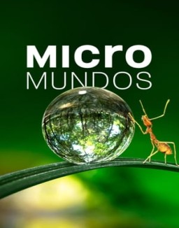 Micromundos temporada 1 capitulo 1