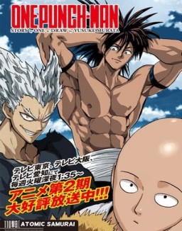 One Punch Man temporada 2 capitulo 8
