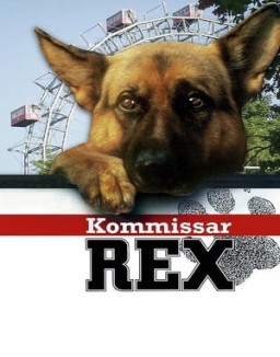 Rex, un policía diferente temporada 1 capitulo 9