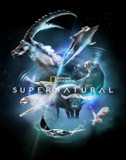 Super/Natural temporada 1 capitulo 5