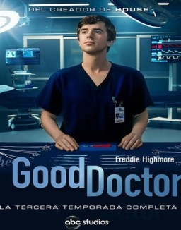 The Good Doctor temporada 3 capitulo 13