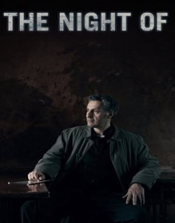 The Night Of temporada 1 capitulo 7