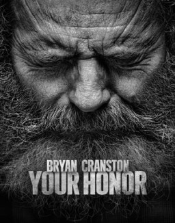 Your Honor Temporada 2